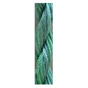 Caron Collection Waterlilies 083 Pine Forest THUMBNAIL